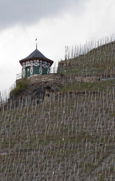 Weingut & Gaestehaus Schmitz-Bergweiler Bernkastel-Kues Exterior foto